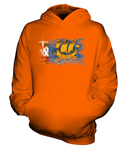 Sweat Saint-Pierre-et-Miquelon drapeau délavé unisexe pull enfant