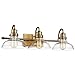 Millennium 2313-HBZ Three Light Vanity, Bronze/Dark