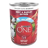 Purina ONE Natural Wet Dog Food Gravy, Tender Cuts in Gravy Beef and Barley Entrée - 13 Ounce (Pack of 12)