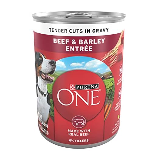 Purina ONE Natural Wet Dog Food Gravy, Tender Cuts in Gravy Beef and Barley Entrée - 13 Ounce (Pack of 12)