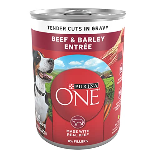 Image of Purina ONE Natural Wet Dog Food Gravy, Tender Cuts in Gravy Beef and Barley Entree - 13 Ounce (Pack of 12)