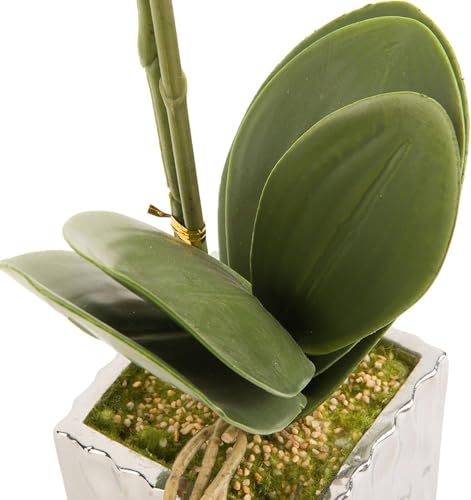 Orquídeas artificiales HUAQINGJUE sin riego para rincones oscuros 6