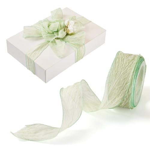 Bestewelry 10 Yards Crinkled Ribbon 1 Inch Pale Green Crinkle Ribbon Polyester Crumpled Ribbon with Seam Edge for Wrapping Basket Wreaths Bows Making Home Event Decor DIY Crafts
