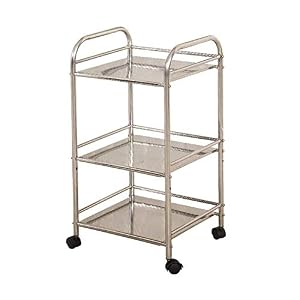 SDdPulse Bewegliche Trolleys Aufbewahrungsregal, Servierwagen, Werkzeug, 3-stöckig, Rollwagen, Schönheitssalon-Trolley mit Universal-Bremsrad, für Krankenhaus, M50 x 35 x 75 cm