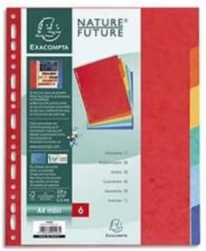 Exacompta Intercalaires A5 Carte Lustrée 6 Positions pour Classeur Maternité