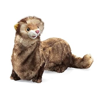 Misc. Puppet Ferret Book