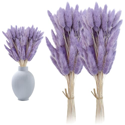 120 Flores secas Pampas Grass decorativas lavanda 50 cm miniatura 3