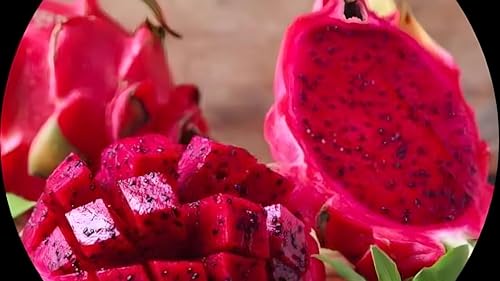 Image of Dragon Fruit Live Plant (Pink /Red) in Grow-Bag Suitable for Pots, Terrace, and Outdoor Farming Use, Pack of 1