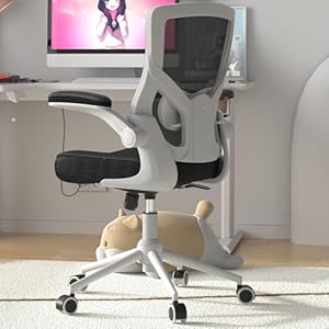 CYKOV Office Chair, High Back Desk Chair Adjustable Height and Ergonomic Design Home Office Computer Chair Executive Lumbar Support Padded Flip-up Armrest Swivel Task Chair