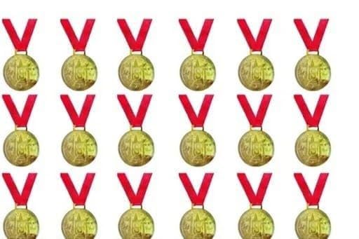 Premium Metal Award Medals for Sports Competitions, Academic Recognition, Student Achievement, Event Ceremonies (Gold(Pack of 18)-picture-31