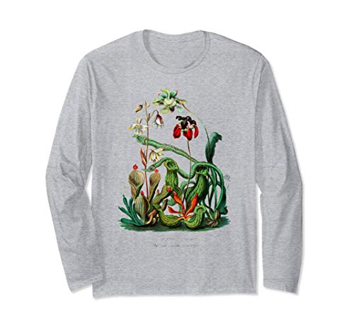 Plantes carnivores Vintage Sarracenia Botanical Manche Longue
