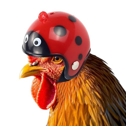 {̖XqA{p̌{̖Xq | Xgbvt̖ʔ`Ln[hnbg | SwbhMAA̖XqAщOŎgp邽߂̃ybg̒̈ߑ