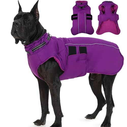IKIPUKO Dog Jackets for Large Dogs, Waterproof Winter Coat with Harness Built-in, Reflective Adjustable Hook&Loop Snowsuit, Warm Cold Weather Coats for Big Dogs Great Dane Doberamn, XXXXL Purple
