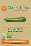 Producto ⭐⭐⭐⭐⭐ Semillas de Calabacín ecologicas