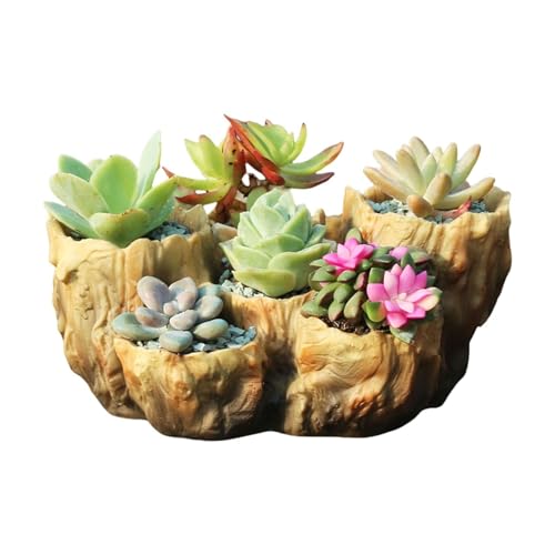 Pot de fleurs pour succulentes minimaliste et géométrique beige - 2