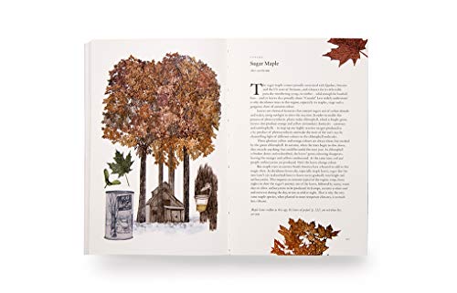 Around the World in 80 Trees