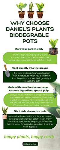 Daniel's Plants Biodegradable Seed Tray | 10 Pack 100 Cell | Seed Starter Tray Peat Pots For Seedlings | Omri | 10 Labels | Bulk Peat Pots | Gardening | Vegetable, Succulent, House Plant #TOP3