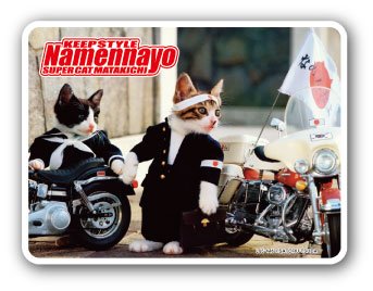 Amazon.co.jp: なめんなよ[ステッカー]ビニールステッカー/集合 なめ猫