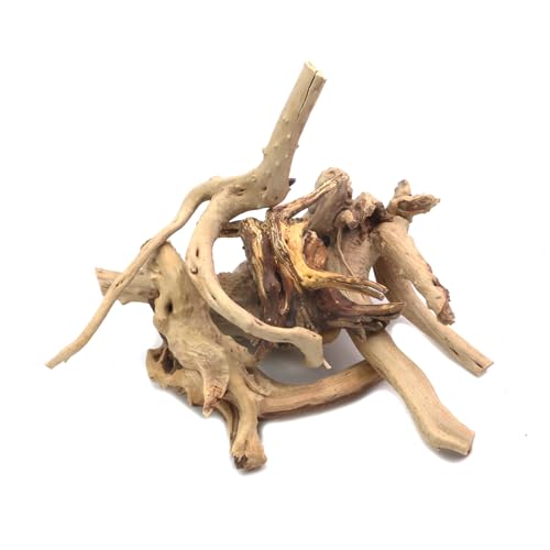 Image of 5Pcs Natural Cuckoo Wood for Aquarium, Aquarium Decor Wood Freshwater Fish Tank Reptile Driftwood Branch Length 3.93 inch to 5.9 inch