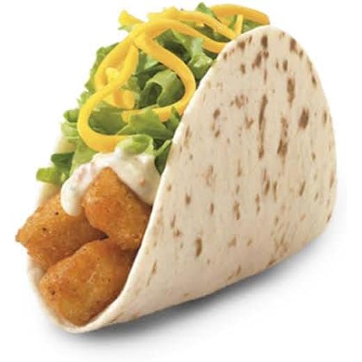 JOYTOSS Whole Wheat Tortilla Wraps Pack of 10