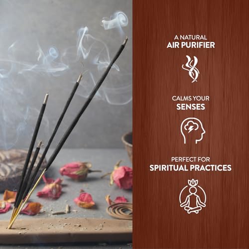 HEM Cinnamon Incense - Box of Six Tubes, Each Containing 20 Grams Sticks | Ideal for Home Fragrance, and Enhancing Spiritual Practices | Burning Time: 35-40 Minutes | 120 Sticks