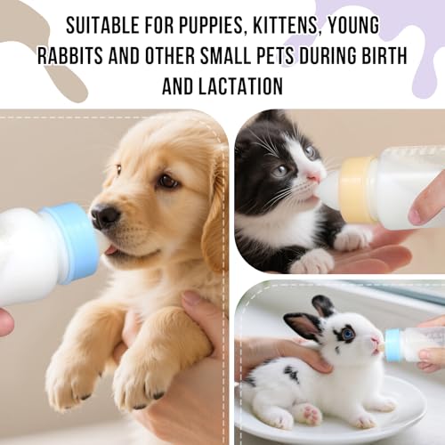 Biberon pour chiot et chaton allaitement à la main de la portée