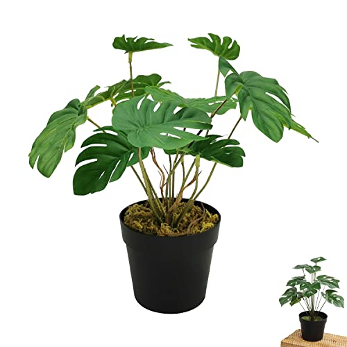 OMIGA Planta Artificial Monstera Pequeña con Maceta y 11 Hojas Realistas 30 CM Monstera Artificial Tropicali para el Hogar o la Oficina (1 Piezas)