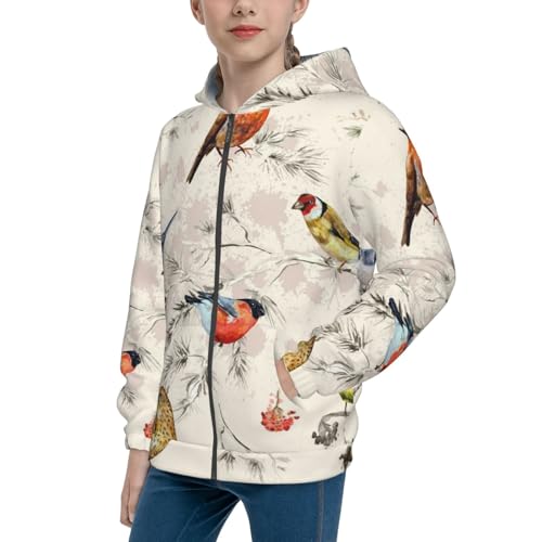 Little Birds Kids Pullover Hoodies Boys Zip Up Sweatshirts Girls Athletic Clothes with Pocket
