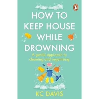 How to Keep House While Drowning: A gentle approach to cleaning and organising