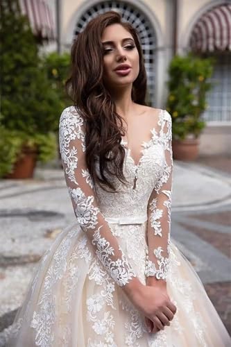 Dexinyuan Illusion Long Sleeve Wedding Dresses for Bride 2025 Lace Mermaid Beach Bridal Gowns Satin Boho Bridal Dresses3