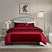 Produktbild Gnomvaie Satin Bettwäsche Set 135x200 cm, Weinrot Einfarbig 2 Teilig Seide Luxus Angenehm Bettbezug mit Reißverschluss und Kissenbezug 80x80cm