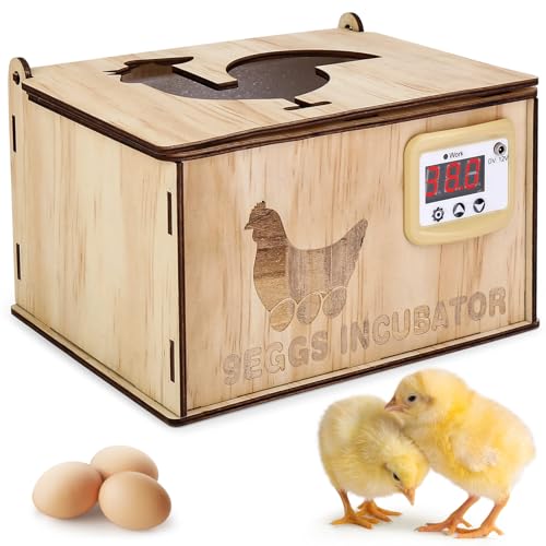 wachteln ausbrüten ohne brutkasten Test auf VVWN vvwn.de