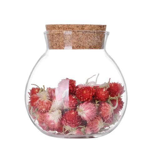 1 bocal rond en verre transparent de 500 ml avec bouchon en liège pour épices, collations, fleurs, thé, bonbons, assaisonnements et plus encore