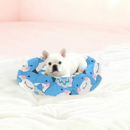 Couchage dauphin bleu taille M pour sieste de chatons - 3
