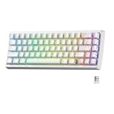 x XVX M67 Wireless 60% Percent Keyboard, QMK/VIA Gaming Keyboard, Tri-Mode Thocky Creamy Mechanical Key Board, Hot Swappable Gasket Mount RGB IMD Tech for Win/Mac, Spider Web Theme, White