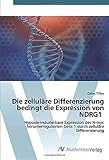 hypoxia tumor  Die zelluläre Differenzierung bedingt die Expression von NDRG1: Hypoxie-induzierbare Expression des N-myc herunterregulierten Gens 1 durch zelluläre Differenzierung
