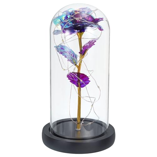 PATIKIL Roses Flower in Glass Dome