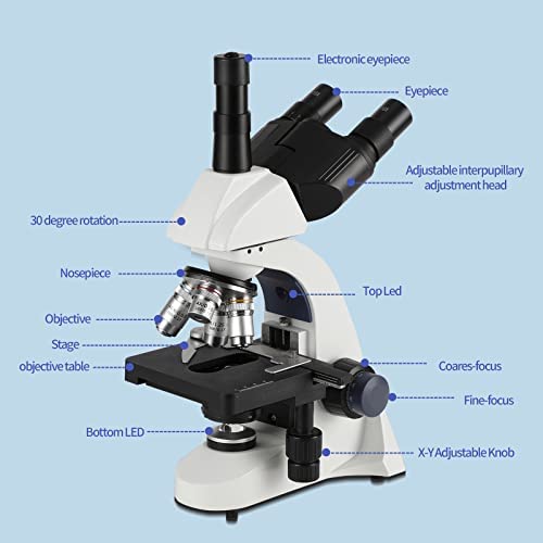 Trinocular Microscope Camera Kids Adults - 40X-5000X Trinocular Microscope For Kids Adults Students With Electric Eyepiece, Storage Bag, Metal Eyepiece, Slides (2022 #TOP2