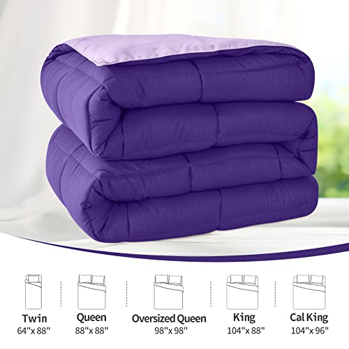 Homelike Moment California King Lightweight Comforter Purple - All Season Down Alternative Bed Comforter Summer Duvet Insert Quilted Reversible Comforters Cal King Size Plum/Light Purple #TOP3