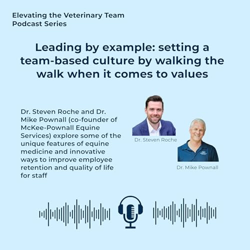 Episode 3: Leading by example: setting a team-based culture by walking the walk when it comes to values with Dr. Mike Pownall