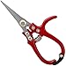 Price comparison product image Darlac Ergo Gardening Snips  Strong, Lightweight Gardening Scissors Ideal for Houseplants and Flower Arranging  Razor Sharp, Pocket-Sized Pruners - SK5 High Carbon Steel Blade