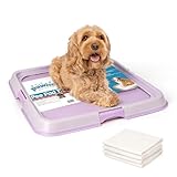 Pawise Hunde-Pad-Halter für Welpen, Welpen-Pad-Halter, Tablett, Haustier-Trainingspad, Indoor-Töpfchen-Tablett für ältere Hunde, Hundetoilette für neugeborene Welpen, 59,7 x 59,7 cm, Violett