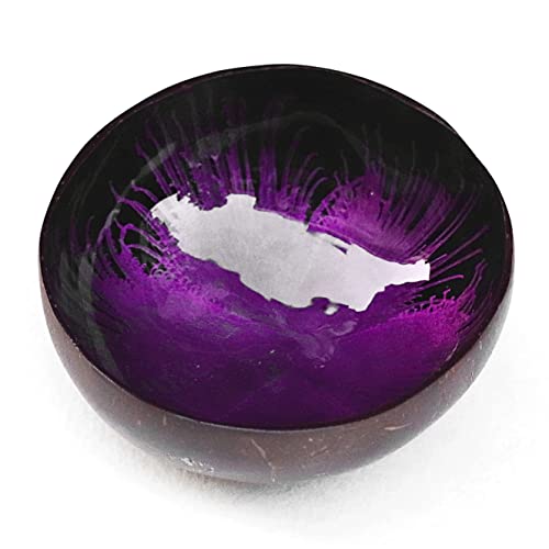 QTMY Kokosnuss dekorative Schüsseln, natürliche Kokosnussschale, Aufbewahrungsschale, Kokosnuss-Servierschalen, Süßigkeitenbehälter, Nüsse Halter (ca. 13 x 6,9 cm) (lila) Cover