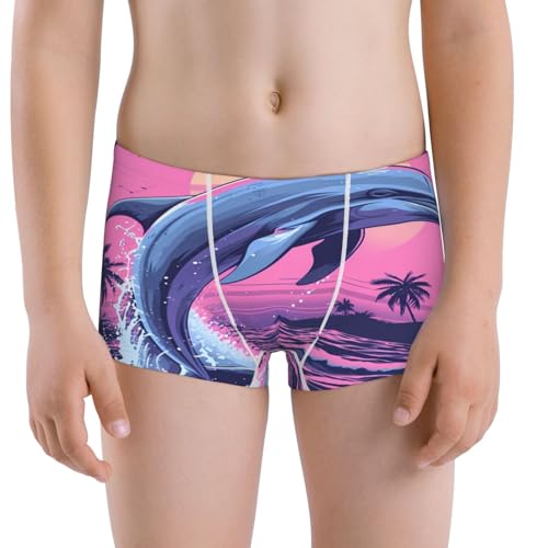 Boys' Cotton Boxer Brief Soft Underwear-Hawaiian Beach Dolphin