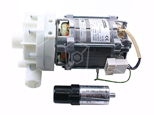 HANNING UP60-442 Pumpe für Spülmaschine Winterhalter GS302, GS315, GS215, GS402, GS202, GS310 ersetzt UP30-355 1 -phasig 5 µF 12mm