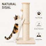 PAWSCRAT Cat Scratching Post 32 Inch High, 5.5 Inch Large Diameter Natural Sisal Cat Scratch Post, Scratch-Resistant and Durable Tall Cat Scratcher for Indoor Cats, Protect Your Furniture, Beige - Image 3