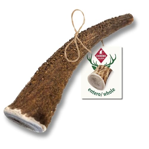 ChronoBalance S Asta de Ciervo para Perros, 100% Naturales Piezas Enteras, Palillo Masticable, Juguetes para Perros, Tratar Cuidado Dental, Sin Aditivos, Larga Duración, Conjunto de 1