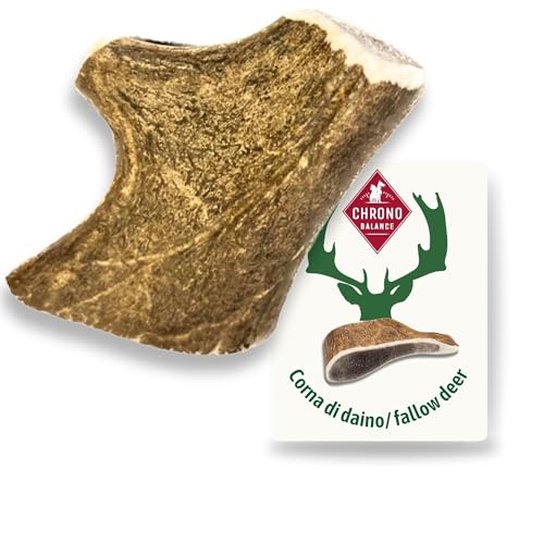 ChronoBalance-S Corno di Cervo Daino per Cani, Confezione da 1, 100% Naturale, Osso di Cervo, Cura Dentale, Giocattolo per Cani, Ricco di Minerali e Nutrienti, Lunga Durata