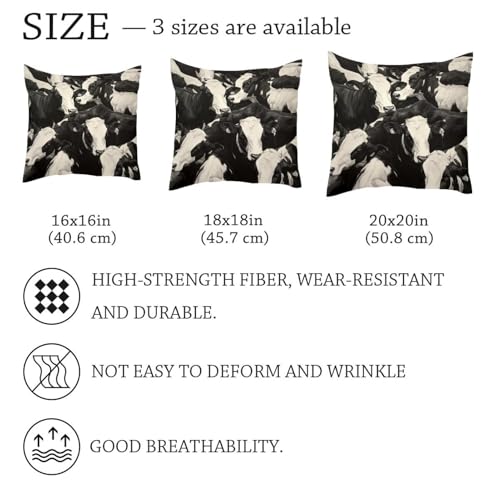 Fundas de almohada decorativas modernas para renovar el sofá del salón 7