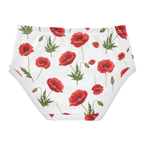 Girls Underwear Toddlers 2t Cotton Panties Little Girl Designer Underpants Briefs Vibrant Red Flowers Leaves White2